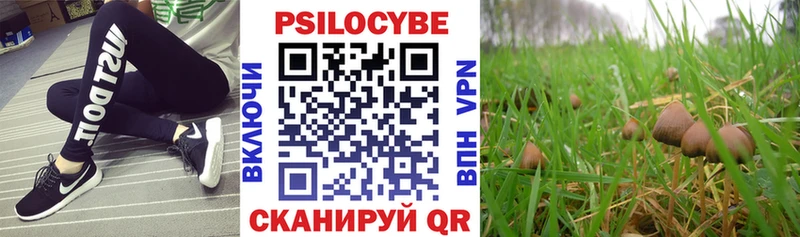 Псилоцибиновые грибы Magic Shrooms  купить наркотик  Красный Холм 